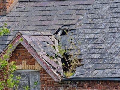 Water Damage Services